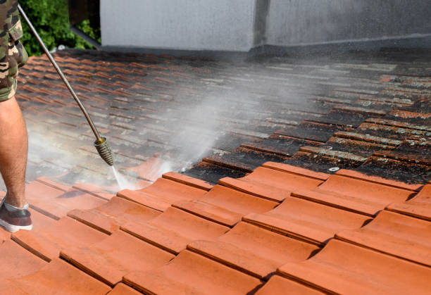 Best Fence Pressure Washing  in North Kingsville, OH